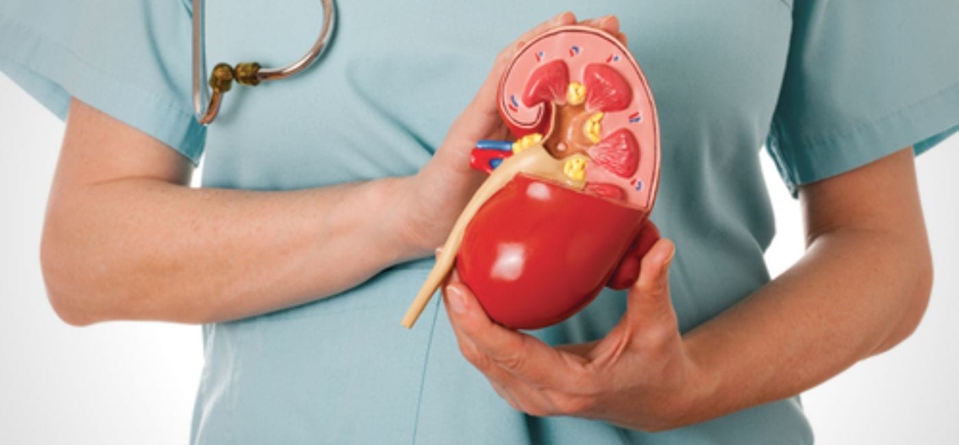 Best Kidney Stone Treatment In Chembur